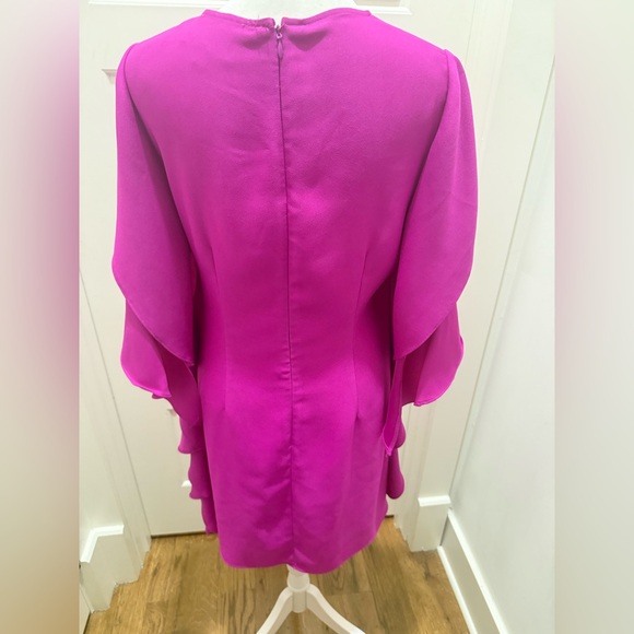 Nicole Miller. Vibrant Ruffle Side Dress. Fuscia. Size 2. - Picture 2 of 8